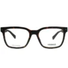 Polaroid PLD D343 086 Unisex Square Eyeglasses Dark Havana 52mm -Women Fashion GUEST 28720536 7c9c 4a34 b24f cb8d125456a3