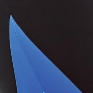 Swim 365 Women’s Plus Size Colorblock Swim Shorts With Sun Protection 4 Swim 365 Women’s Plus Size Colorblock Swim Shorts With Sun Protection - Image 2